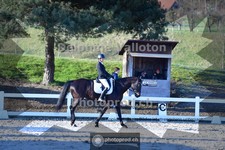 ref. photo 4011373