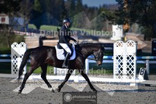 ref. photo 4011415