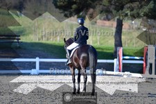 ref. photo 4011422