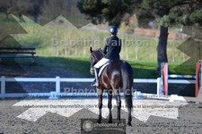 ref. photo 4011423