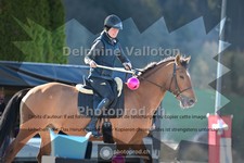 ref. photo 4011533