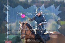ref. photo 4011534