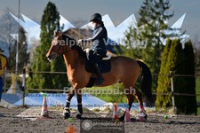 ref. photo 4011541