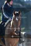 ref. photo 4011552