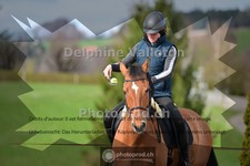 ref. photo 4011571