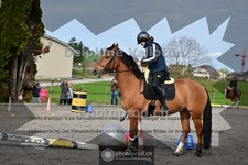 ref. photo 4011579