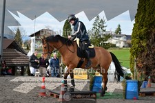 ref. photo 4011587