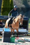 ref. photo 4011590