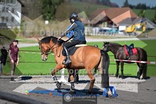 ref. photo 4011600
