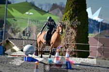 ref. photo 4011610