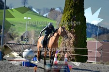 ref. photo 4011611