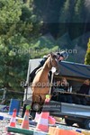 ref. photo 4011617