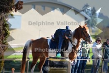 ref. photo 4011938