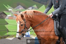 ref. photo 4012094