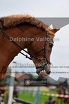 ref. photo 4012101