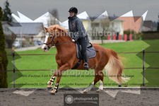 ref. photo 4012103