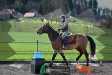 ref. photo 4012115