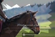 ref. photo 4012122