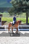 ref. photo 4012238
