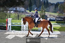 ref. photo 4012257