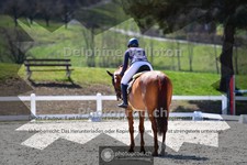 ref. photo 4012270
