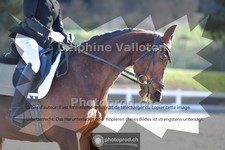 ref. photo 4012295