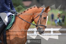 ref. photo 4012460