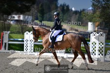 ref. photo 4012571