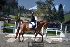 ref. photo 4012585