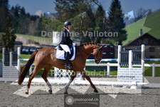 ref. photo 4012588