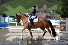 ref. photo 4012593