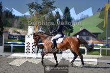 ref. photo 4012653