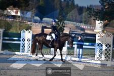 ref. photo 4012732