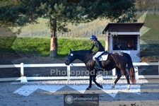 ref. photo 4012743