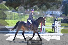 ref. photo 4012758
