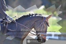ref. photo 4012766