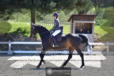 ref. photo 4012769