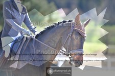 ref. photo 4012772