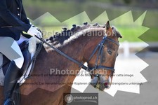 ref. photo 4012822