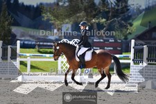 ref. photo 4012838