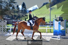 ref. photo 4012932