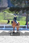 ref. photo 4012945