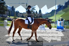 ref. photo 4012962