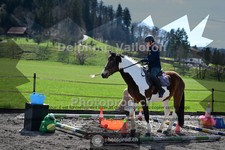 ref. photo 4013008