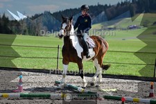 ref. photo 4013015