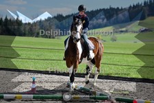 ref. photo 4013016