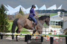 ref. photo 4013162