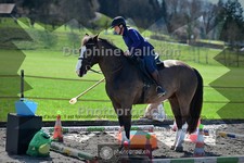 ref. photo 4013174
