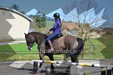 ref. photo 4013181