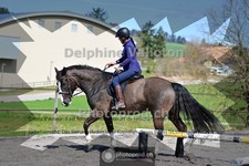 ref. photo 4013182